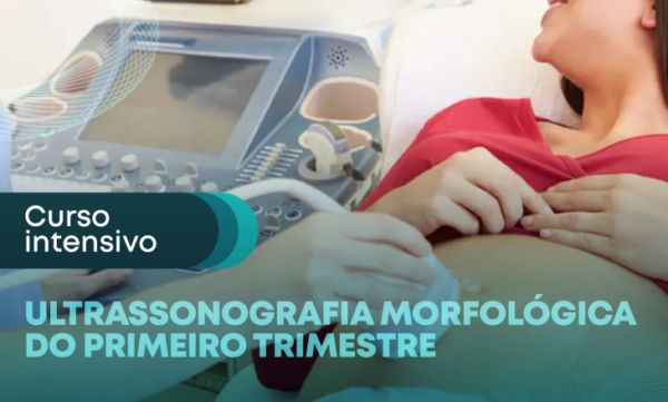 Curso Intensivo De Ultrassonografia Morfológica Do Primeiro Trimestre Imedi 